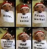 IMG_0223.jpeg