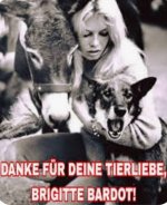 Screenshot_20251228_114752_Samsung Internet.jpg