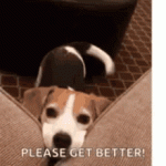 1769946936452.gif 1769946936452.gif