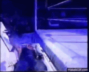 1770479675932.gif 1770479675932.gif