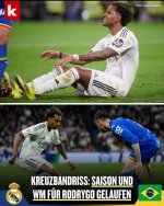 IMG_20260303_171841.jpg IMG_20260303_171841.jpg