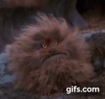 Fizzgigi.gif
