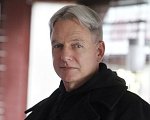 gibbs-200.jpg