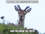 1585777842160.png 1585777842160.png