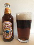 Newcastle Brown Ale poured in pint glass_copy_1209x1612.jpg