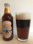 Newcastle Brown Ale poured in pint glass_copy_1209x1612.jpg Newcastle Brown Ale poured in pint glass_copy_1209x1612.jpg