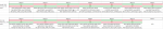 Details 3rd round.png
