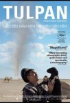 tulpan2 (Copy) (Copy).jpg tulpan2 (Copy) (Copy).jpg