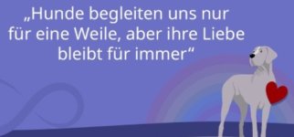 Screenshot_20260427_195159_Samsung Internet.jpg