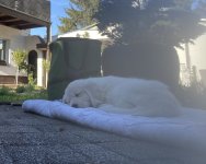 IMG_7706.jpeg