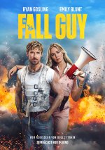 fall-guy-the.jpg fall-guy-the.jpg