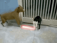 1780476460478.gif