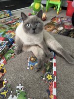 IMG_9015.jpeg