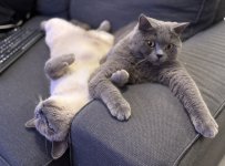 IMG_9016.jpeg