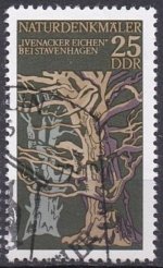 Ivenacker eichen7.jpg Ivenacker eichen7.jpg