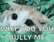 1782251283868.gif 1782251283868.gif