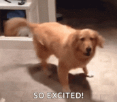 1000030575.gif