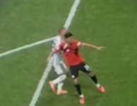 Leichter Zupfer 2.jpg