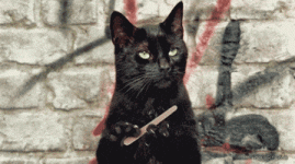 RDT_20250704_153555314723395929011326.gif