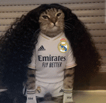 45875.gif 45875.gif