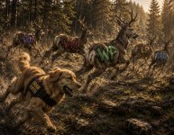 IMG_8172.jpeg