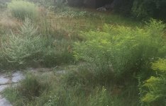 IMG_20260808_062845.jpg