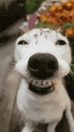 1786475286341.gif 1786475286341.gif