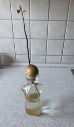IMG_9918.jpeg