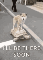 1000032218.gif