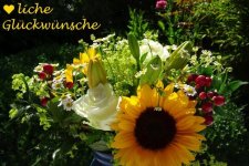 glückwünsche.jpg