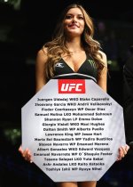 2016-ufc-octagon-girl.jpg 2016-ufc-octagon-girl.jpg