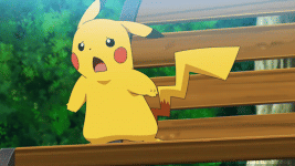 IMG_4982.gif