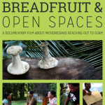 Breadfruit-Open-Spaces2 (Copy) (Copy).png