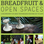 Breadfruit-Open-Spaces2 (Copy) (Copy).png Breadfruit-Open-Spaces2 (Copy) (Copy).png