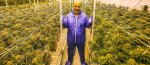 Internationaler Farmer 2.jpg Internationaler Farmer 2.jpg