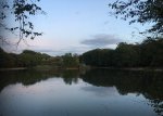 teich.jpg