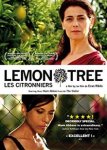 lemon tree (Copy).jpg lemon tree (Copy).jpg